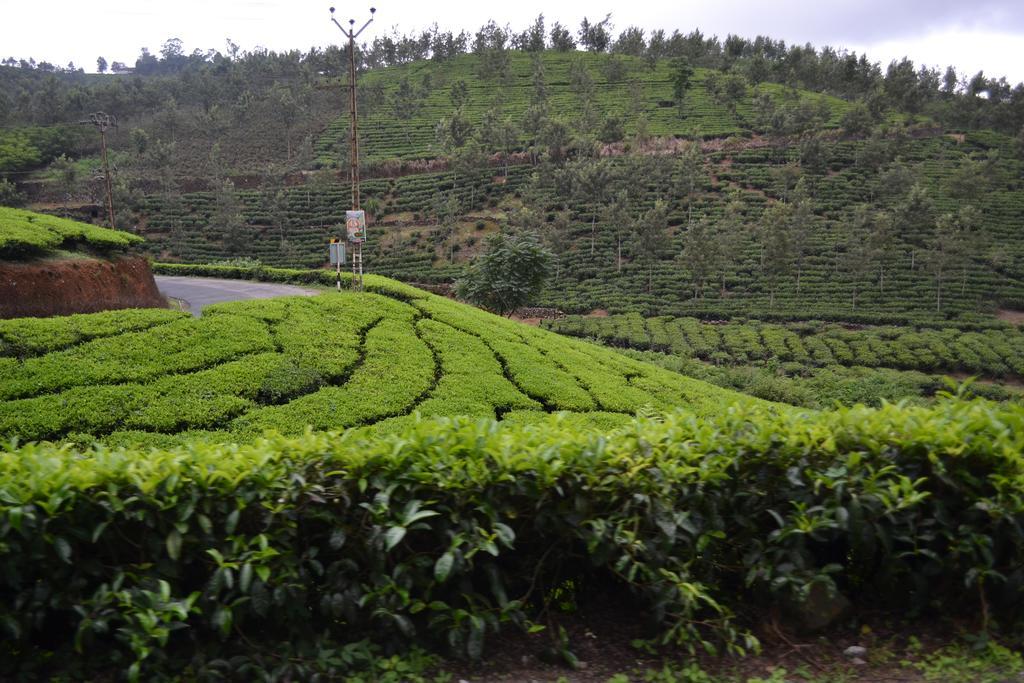 Ferndale Homestay Thekkady Kültér fotó