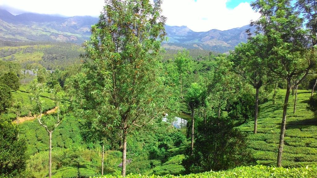 Ferndale Homestay Thekkady Kültér fotó