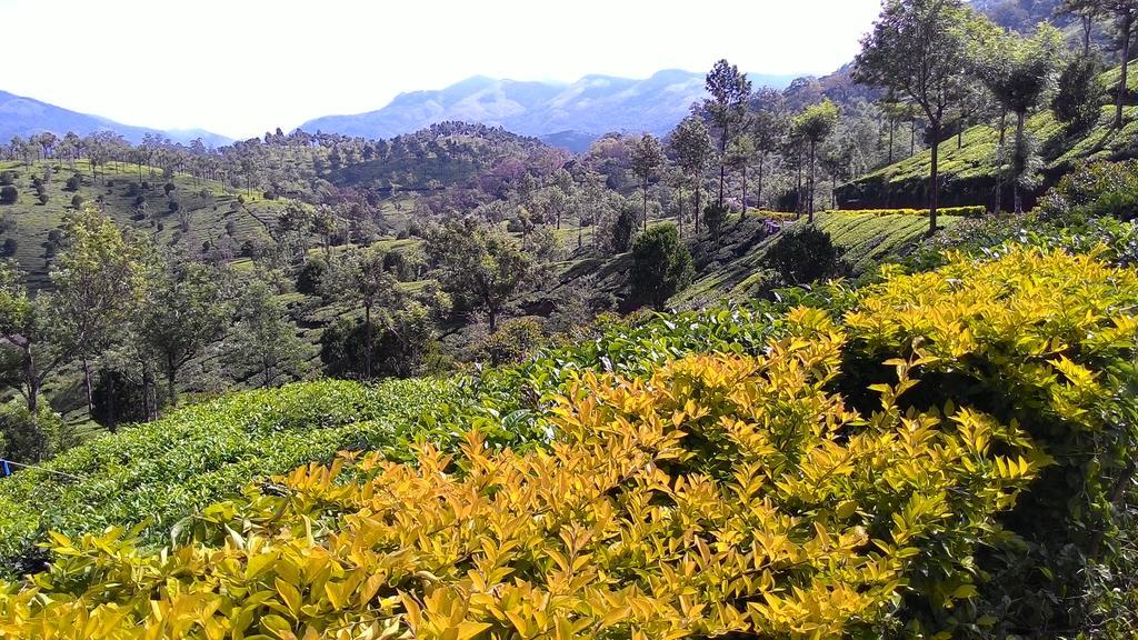 Ferndale Homestay Thekkady Kültér fotó